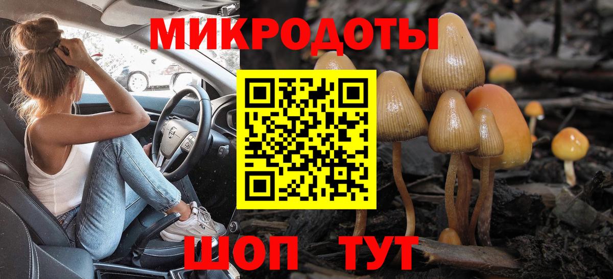 Галлюциногенные грибы Cubensis  где купить наркоту  Кашира  Вход с VPN 